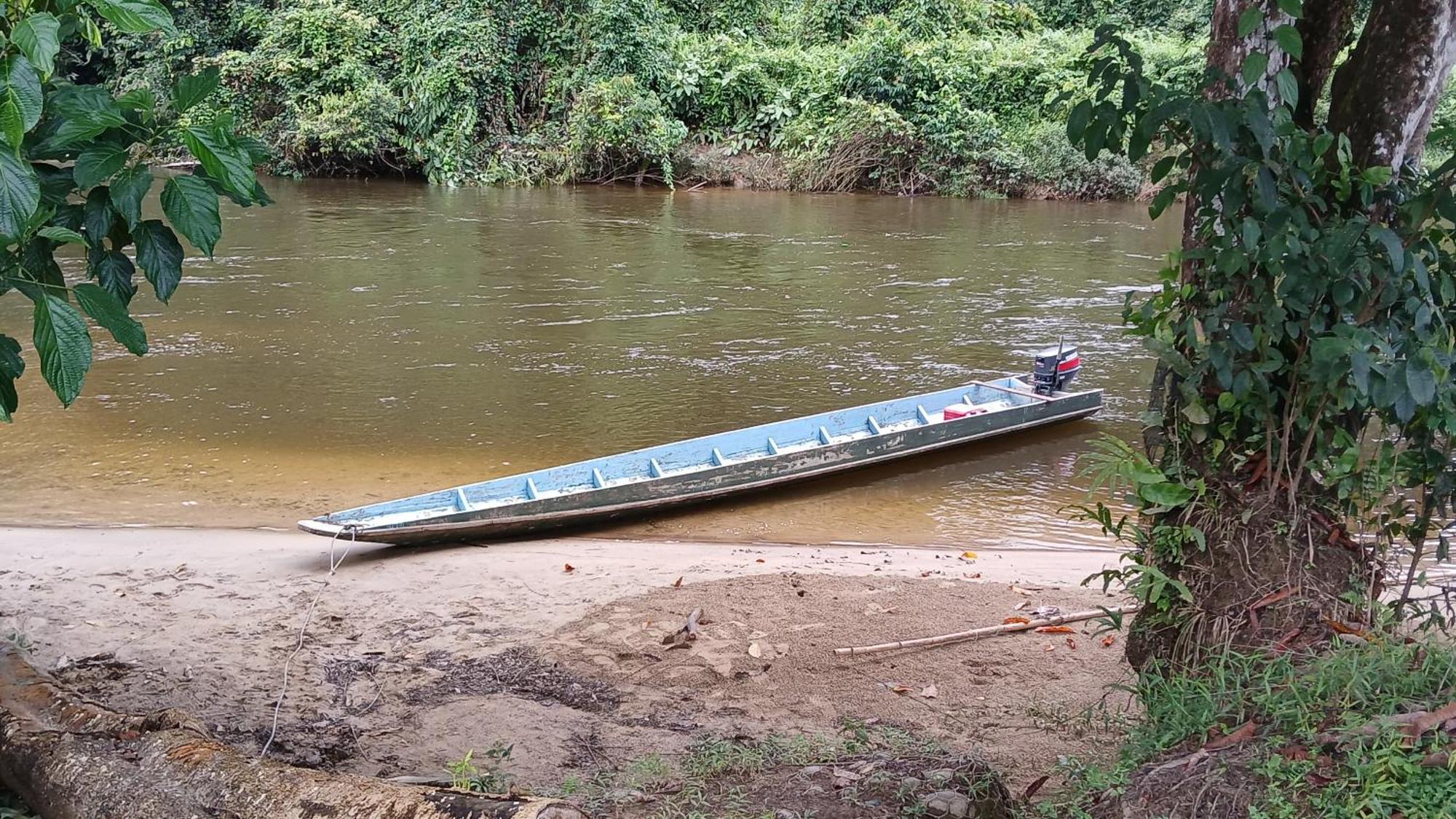 Mulu Tribal Homestay Экстерьер фото